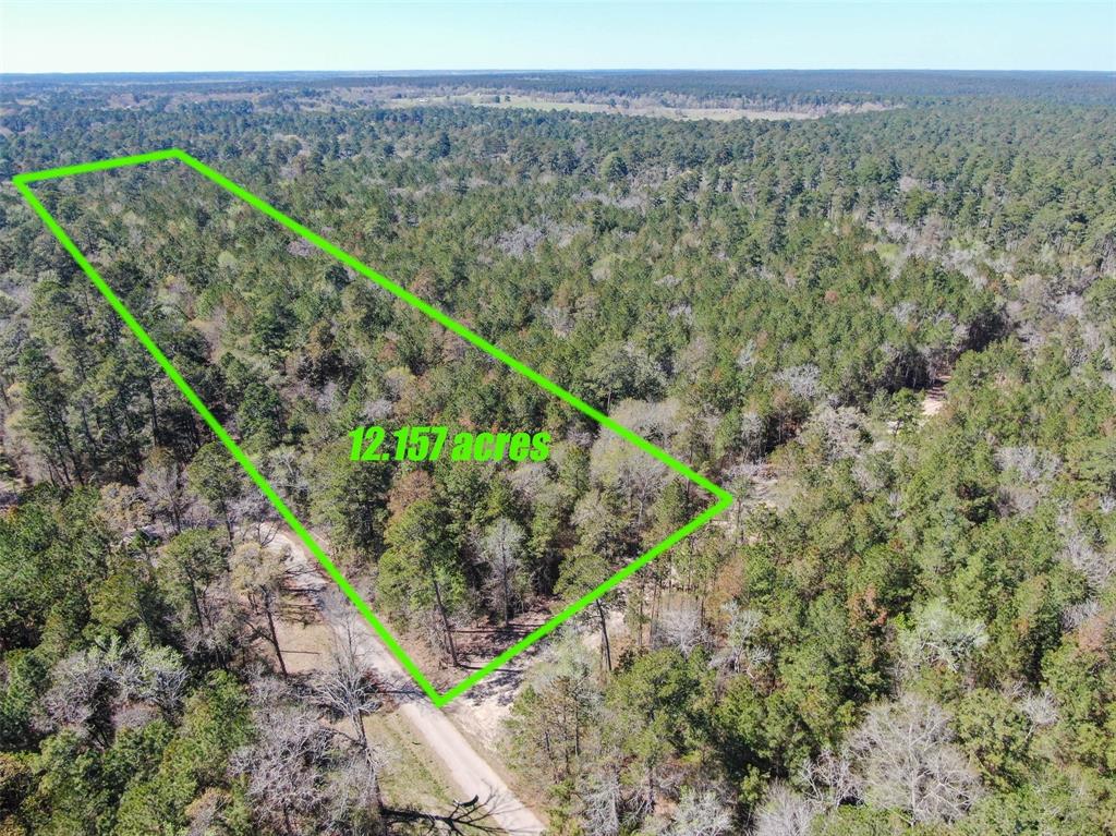 14601 Peterson Road, Montgomery, Texas 77356, ,Country Homes/acreage,For Sale,Peterson,93991996