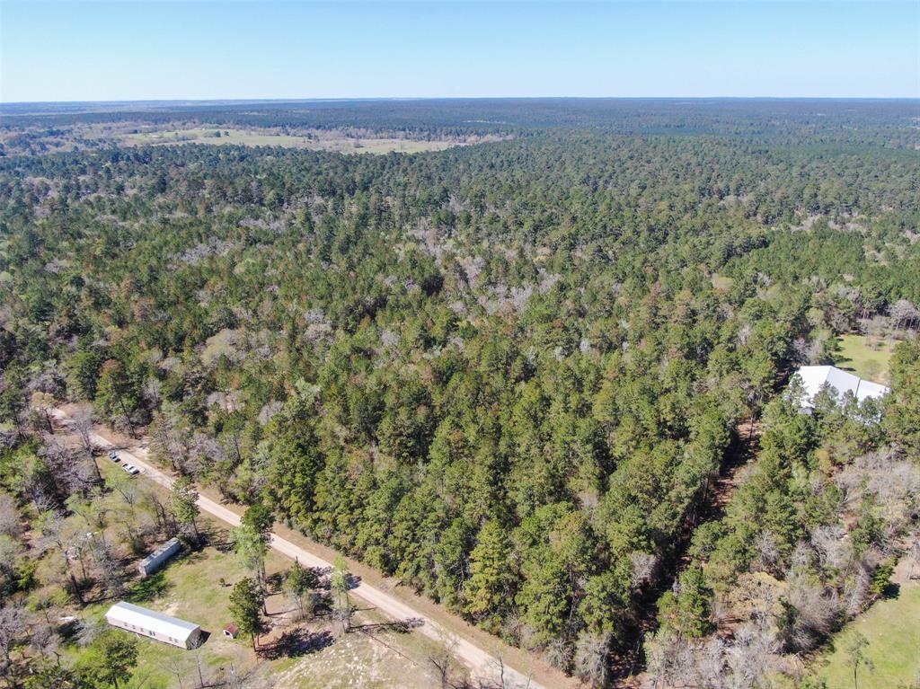 14601 Peterson Road, Montgomery, Texas 77356, ,Country Homes/acreage,For Sale,Peterson,93991996