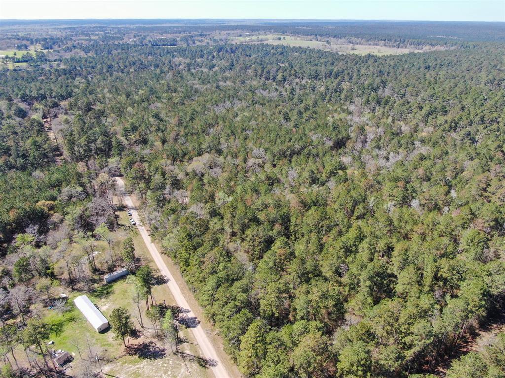 14601 Peterson Road, Montgomery, Texas 77356, ,Country Homes/acreage,For Sale,Peterson,93991996