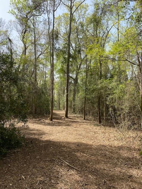 0 Mueschke Road, Hockley, Texas 77377, ,Country Homes/acreage,For Sale,Mueschke,95348500