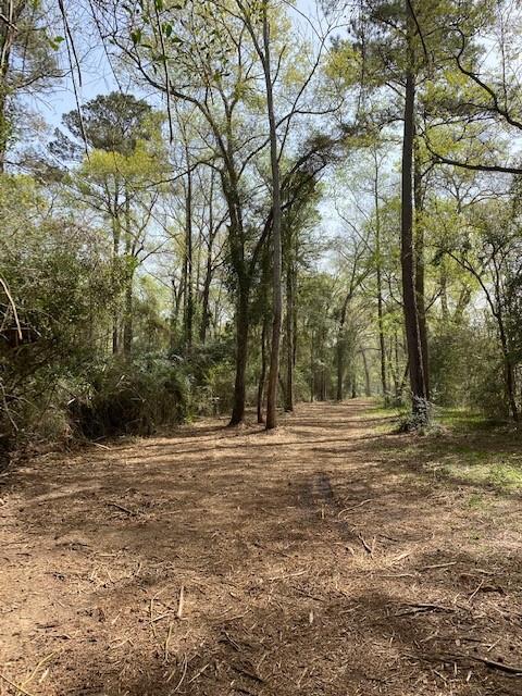 0 Mueschke Road, Hockley, Texas 77377, ,Country Homes/acreage,For Sale,Mueschke,95348500