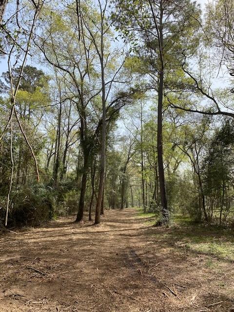 0 Mueschke Road, Hockley, Texas 77377, ,Country Homes/acreage,For Sale,Mueschke,95348500