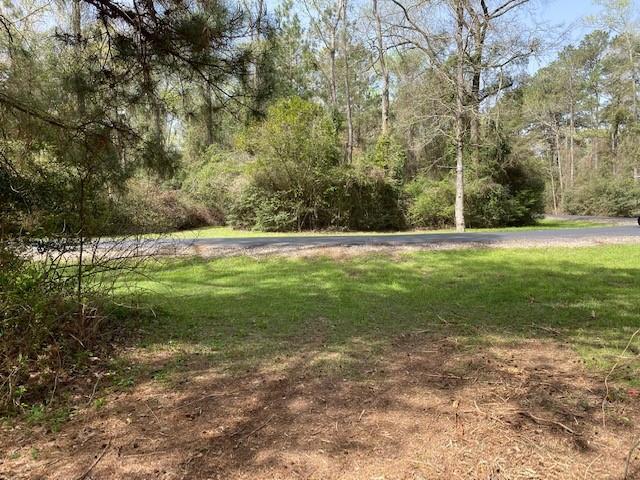 0 Mueschke Road, Hockley, Texas 77377, ,Country Homes/acreage,For Sale,Mueschke,95348500