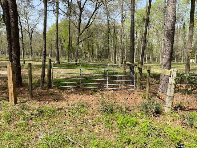 0 Mueschke Road, Hockley, Texas 77377, ,Country Homes/acreage,For Sale,Mueschke,95348500