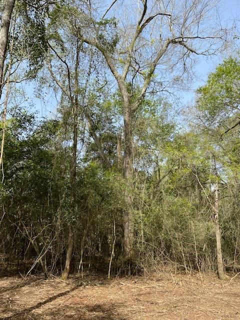 0 Mueschke Road, Hockley, Texas 77377, ,Country Homes/acreage,For Sale,Mueschke,95348500