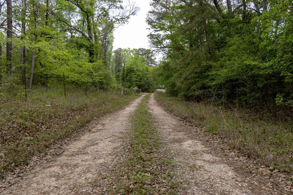 15821 Highway 75, Willis, Texas 77378, ,Lots,For Sale,Highway 75,43102034