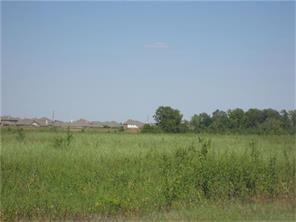 0000000 Joerger, Rosenberg, Texas 77471, ,Country Homes/acreage,For Sale,Joerger,88236091