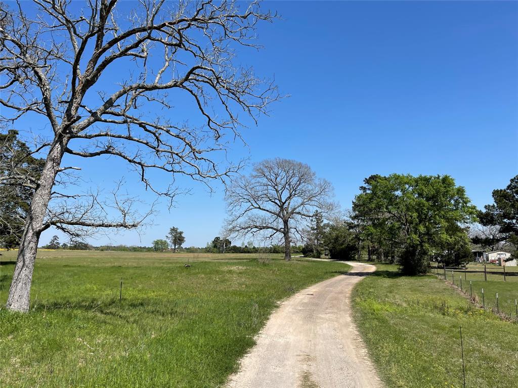 11 ac CR 121 Centerville, Texas 11.42 rolling acres with scattered giant oak trees. Land has frontage on paved CR 121. There is electric on site. Land is improved coastal pastures and is fenced.