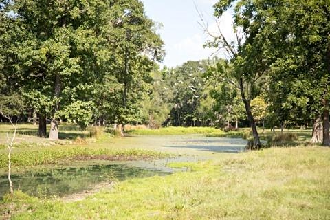 4132 FM 1127 Road Shepherd, Texas Beautiful acreage with improved bahia pasture, property has frontage on farm to market road 1127, fenced cow lot with working chute, pond stocked with catfish and Florida hybrid bass also providing water for the cattle and horses. Well maintained 1800 square foot double wide Waverly mobile home with approximately 20 x 20 deck, 30 x 30 barn including a commercial air conditioned kitchen that has been used for canning produce by current owner. 3 storage buildings all wired for electricity with one completed and air conditioned for your office, etc. This property is truly beautiful, well drained, no prior flooding per owner. Easy access to the Trinity River if you enjoy river boating or fishing. Not far from Lake Livingston to the north for lake adventures!!! Room sizes are estimates only. Property also has an established RV connection for your property manager or guests. Adjoining acreage available as well 25+/- acre tract and 35+/- acre tract. Total of 95+/- acres available.
