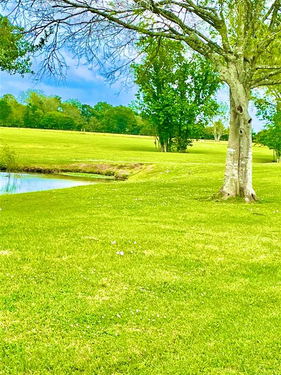 TBD Timber Ridge Road