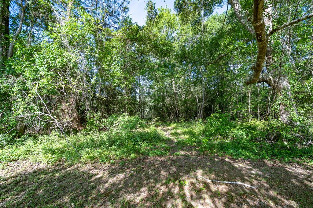 213 County Road 2313