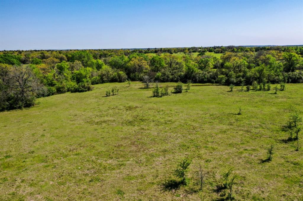 55 Acres FM 2620 Bedias, Texas Ideal small ranch with fencing on west, south, and east sides. Property is predominantly open with areas of trees along creek. Has enough cover to hold wildlife providing whitetail deer, feral hogs and dove hunting opportunities.
Seller will split into two 27.502 acre tracts for a list price of $8,900 per acre.