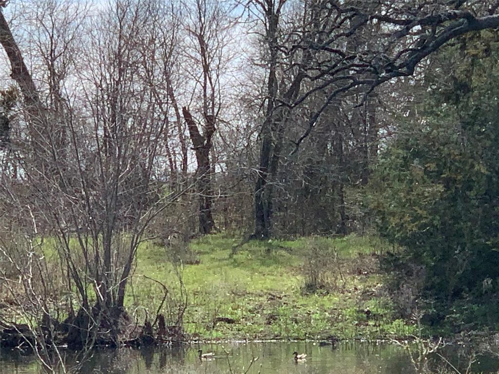 7843 County Road 125 Caldwell, Texas MOTIVATED SELLER!!!!! Peaceful and quiet life.. undeveloped land; nice trees; two fishing ponds is what this tract has to offer. Electricity and water well onsite. Very nice home sites. You can find changes in elevation as you walk through to the back. Lots of wildlife including deer, varmints, fox, and even wild ducks that stay on the two ponds. Grazing Lease in place. Ag Exemption. We are looking at all offers so dont miss this one.