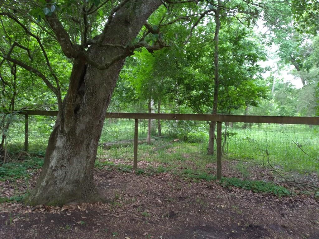 16406 LOCHNESS/County Road 528B, Rosharon, Texas 77583, 4 Bedrooms Bedrooms, 4 Rooms Rooms,2 BathroomsBathrooms,Country Homes/acreage,For Sale,LOCHNESS/County Road 528B,70903540