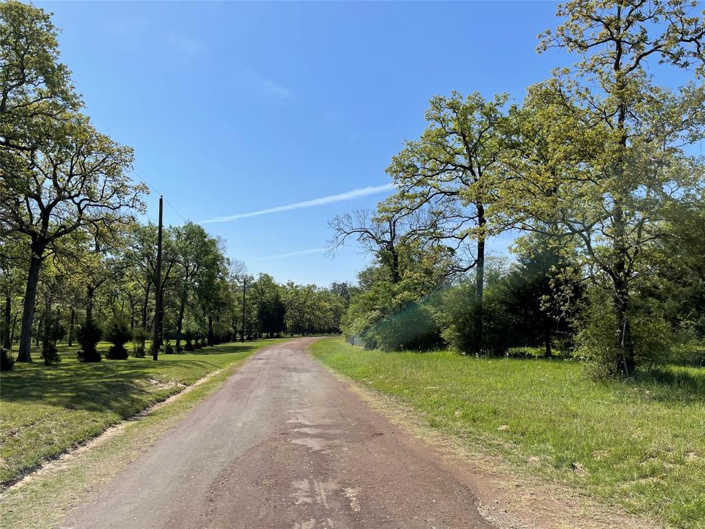 9663 County Road 316 Buffalo, Texas Buffalo TX 10AC Weeden Addition Area - Nice cleared property with a beautiful high hill. This place previously had a home on it and has a water meter, electric pole and septic system in place making it home ready. The land is mostly pasture with scattered oak trees and features a creek that runs through the place making a perfect spot for a pond.
Being located on a dead end black top county road, the land has a peaceful setting with minimal traffic that's ideal for someone wanting to get a piece of property with peace and quiet.
Deer and other wildlife are seen daily in the area as this place is surrounded by other wooded properties.
Great place for a future home or weekend retreat to sit back and relax.