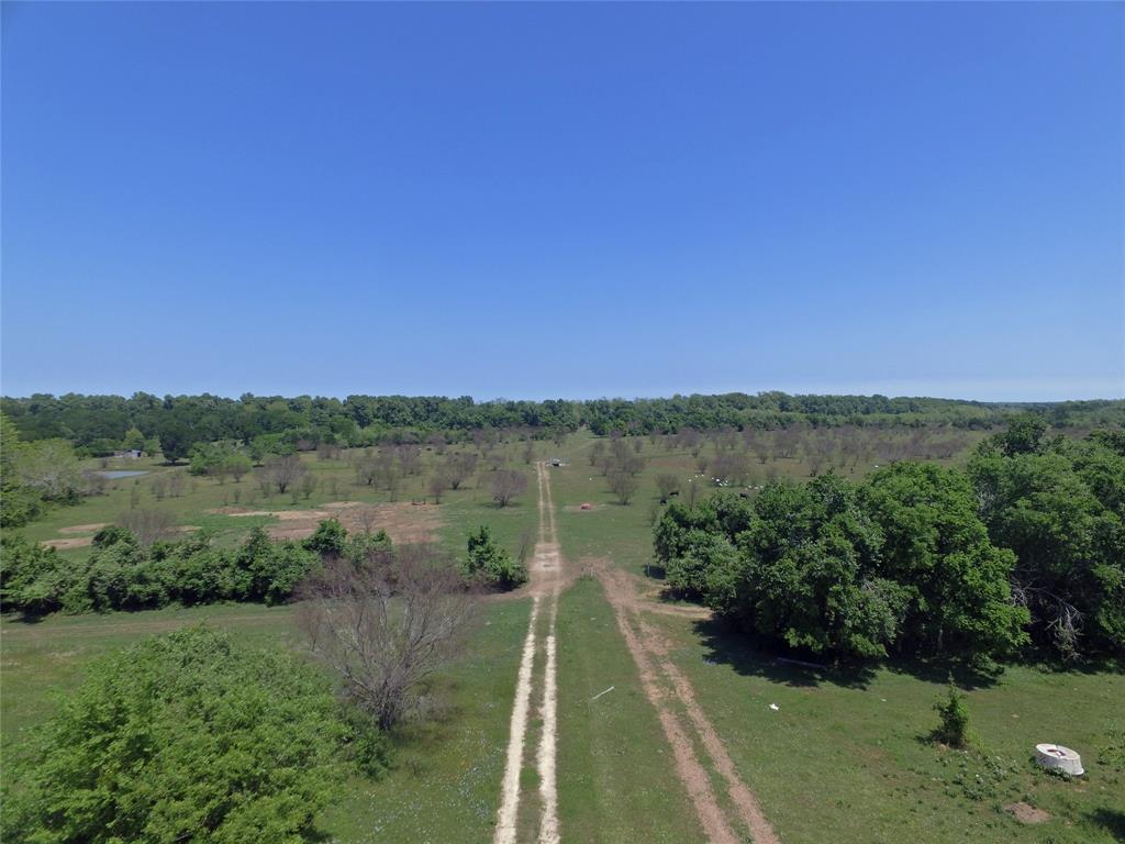 11810 Reinecker Road Wallis, Texas Rare Acreage with Brazos River Frontage, located in Ft. Bend County. Plenty of trees with room for cattle and horses. Lots of wildlife for hunting and river access for fishing.