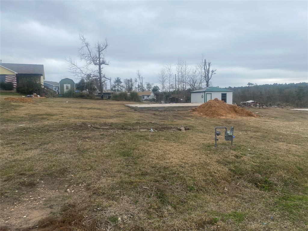 646 Yaupon Cove Drive, Onalaska, TX 77360