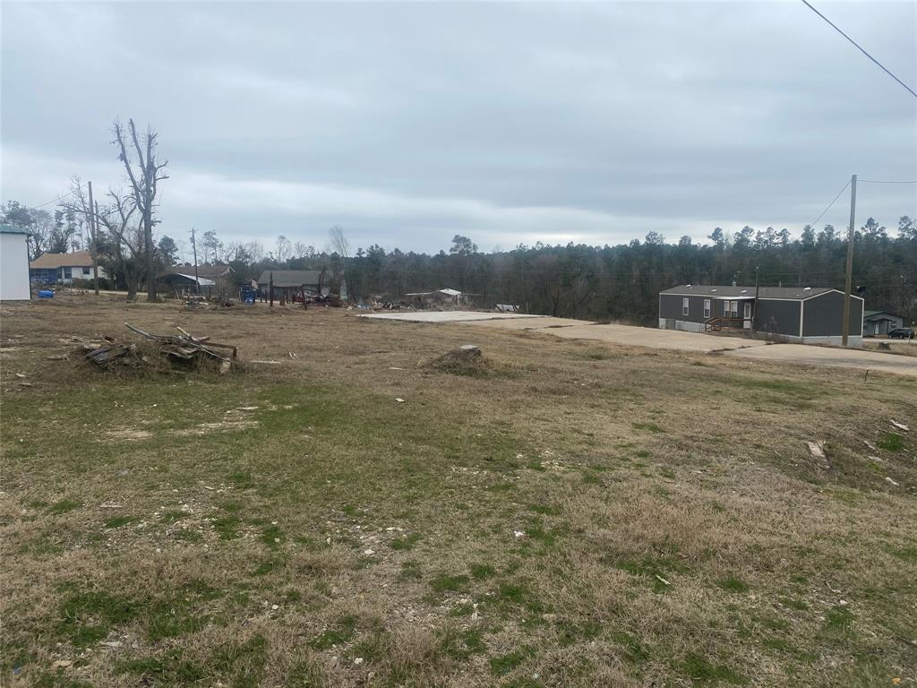 646 Yaupon Cove Drive, Onalaska, TX 77360