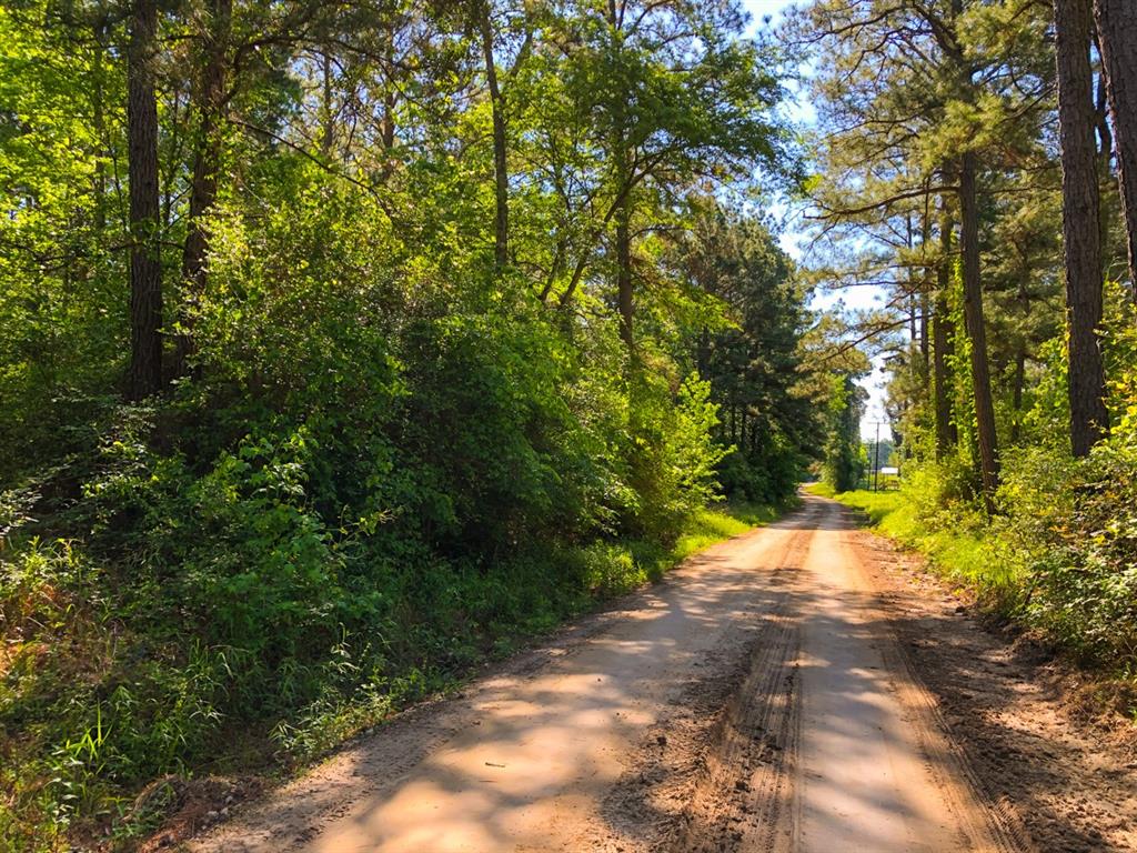 CR 2912 Trinity, Texas 1st Time Open Market Offering!!! Own a piece of Trinity Forest! Selective breakup for this historic forestry tract. Great location. Excellent public road frontage & access with excellent internal road system for forestry operations & recreation.
Extensive frontage on SH 94 (A State maintained paved highway) and Fountain Creek road (A county-maintained rock rd). Additional county maintained access frontage along Sonny Thornton road and gated access at the end of the Joe Hudson road. See maps herein.
Big rolling hills to water-filled creeks. Beautiful views. Take your pick from convertible young timber to mature pine/hardwood trees.
Lose your hunting lease? Join together and buy your hunting future!