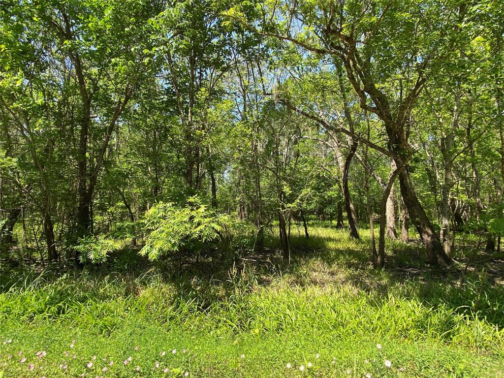TBD County Road 1333