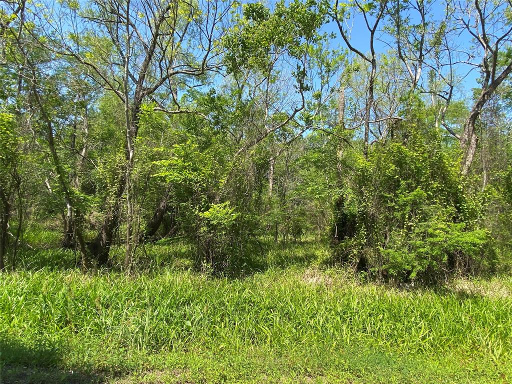 TBD County Road 1333
