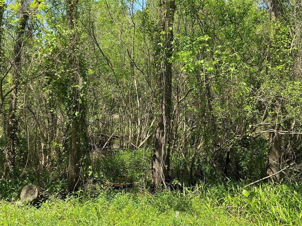 TBD County Road 1333
