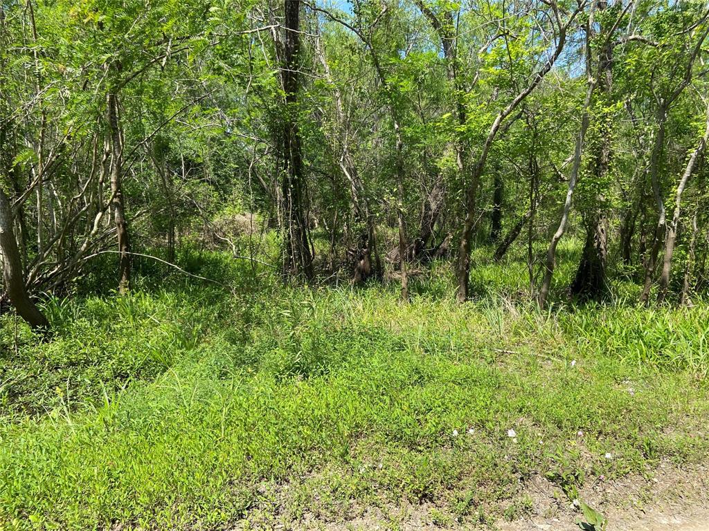 TBD County Road 1333