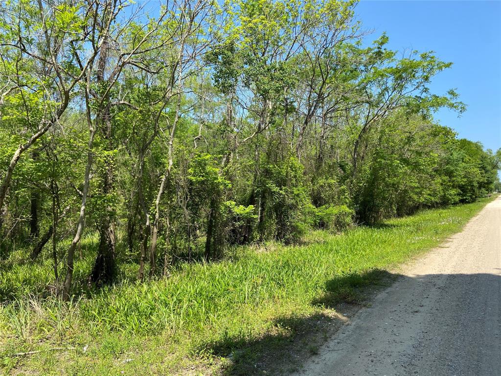 TBD County Road 1333