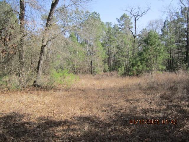 000 Wilde Ridge Trail, Montgomery, Texas 77316, ,Country Homes/acreage,For Sale,Wilde Ridge Trail,67178847