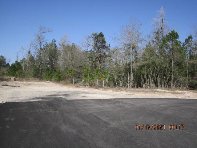 000 Wilde Ridge Trail, Montgomery, Texas 77316, ,Country Homes/acreage,For Sale,Wilde Ridge Trail,67178847