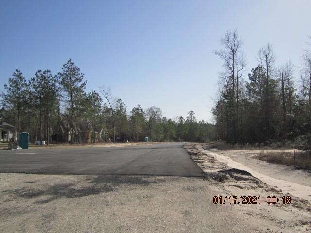 000 Wilde Ridge Trail, Montgomery, Texas 77316, ,Country Homes/acreage,For Sale,Wilde Ridge Trail,67178847
