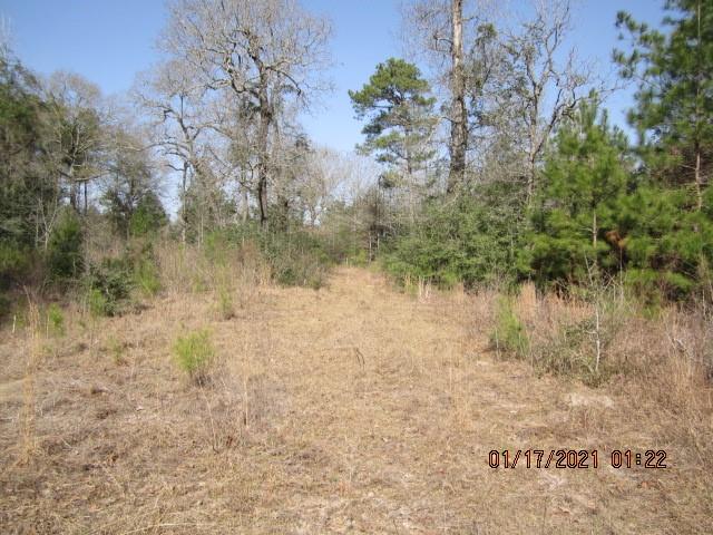 000 Wilde Ridge Trail, Montgomery, Texas 77316, ,Country Homes/acreage,For Sale,Wilde Ridge Trail,67178847