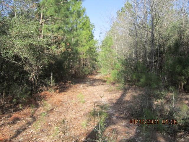 000 Wilde Ridge Trail, Montgomery, Texas 77316, ,Country Homes/acreage,For Sale,Wilde Ridge Trail,67178847
