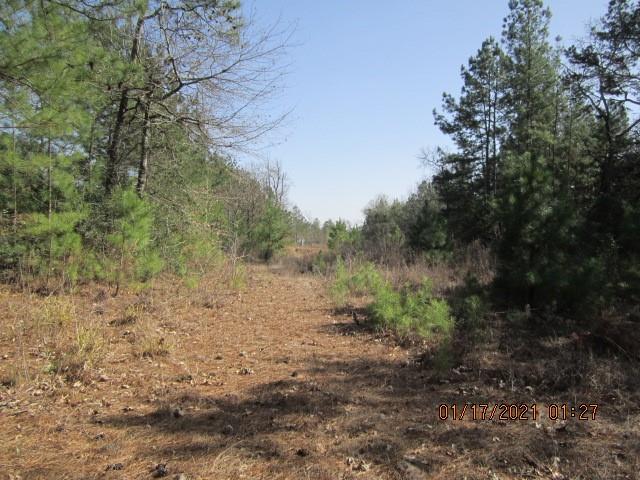 000 Wilde Ridge Trail, Montgomery, Texas 77316, ,Country Homes/acreage,For Sale,Wilde Ridge Trail,67178847