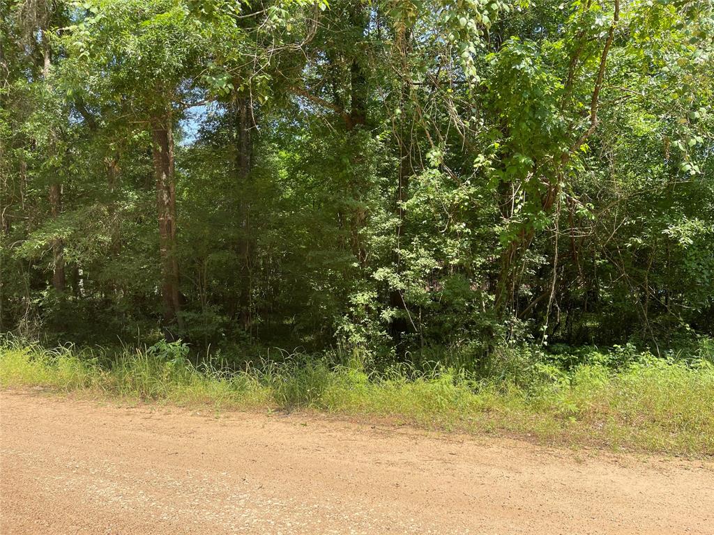 Coldspring, TX 77331,Lot 1522/1523 Mudd ST