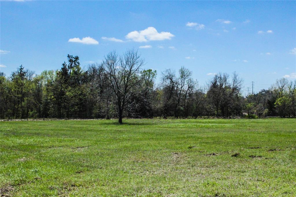 Anderson, TX 77830,Lot 10 County Road 220