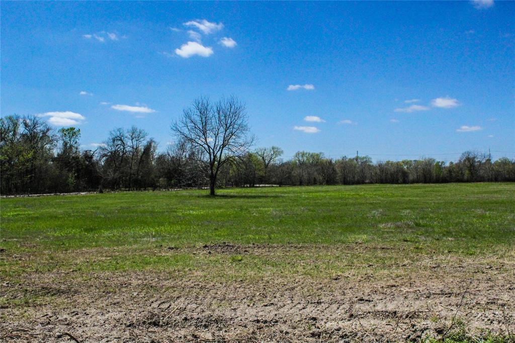 Anderson, TX 77830,Lot 10 County Road 220