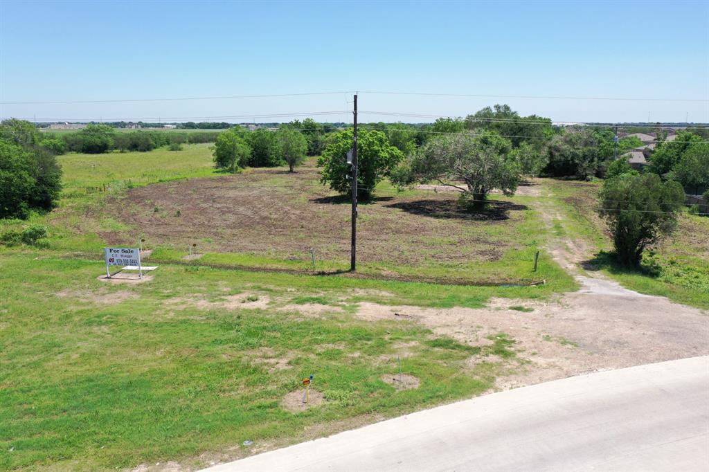 5955 Cottonwood School Road, Rosenberg, Texas 77471, ,Country Homes/acreage,For Sale,Cottonwood School,53775916