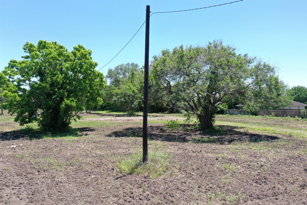 5955 Cottonwood School Road, Rosenberg, Texas 77471, ,Country Homes/acreage,For Sale,Cottonwood School,53775916