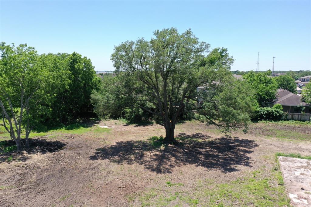5955 Cottonwood School Road, Rosenberg, Texas 77471, ,Country Homes/acreage,For Sale,Cottonwood School,53775916