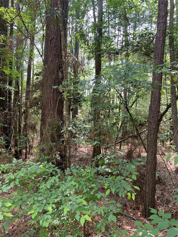 000 Jones Road Willis, Texas Not far from downtown Willis yet secluded! Heavily wooded 3+ acreage. There also appears to be marketable timber on the property. Willis ISD school district.