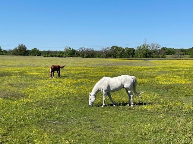 8172 N Fm 39 Jewett, Texas You can see for miles from this prime acreage located just north of Jewett, TX. The guys will have 58 acres +/- plus 3 ponds, working pens, equipment sheds and a 30x50 shop on a slab with a 16x50 awning. This property is planted in Coastal Bermuda and will run horses, cows, sheep or anything else you want to raise. There is a 750' deep water well along with a meter for community water. Not to be left out, the girls will love the ample 3,600 square foot home with a 2 car garage and a spacious back patio for hosting the girlfriends. Basics include 3 bedrooms and 2.5 baths, 2 living areas, butler's pantry or wet bar and a wood-burning fireplace. Upgrades include a new roof, new windows and 2 new electric water heaters. There is also an adorable "She Shed" with built-in cabinets for crafts, home office or quiet time. A bonus 20x50x14 covered RV spot with full hookups has recently been added with 1,196 square feet of concrete. Use your RV as an outdoor kitchen or bunkroom.