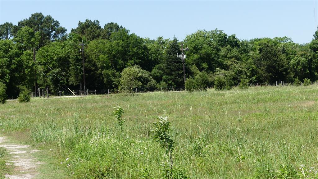 4003 County Road 197, Alvin, Texas 77511, ,Country Homes/acreage,For Sale,County Road 197,94820553