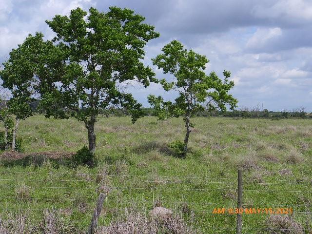 TBD Kemp RD, Needville, TX 77461