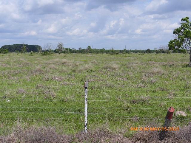 Needville, TX 77461,TBD Kemp RD