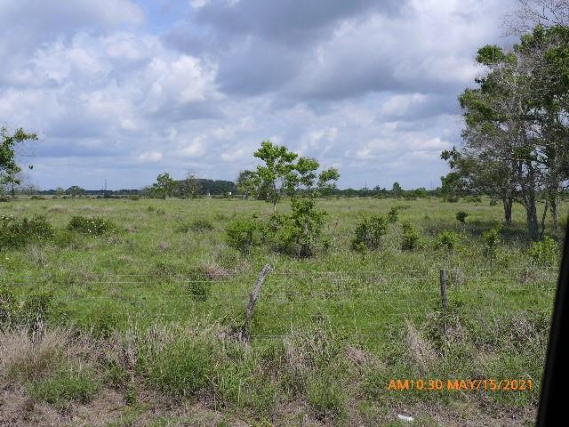 Needville, TX 77461,TBD Kemp RD