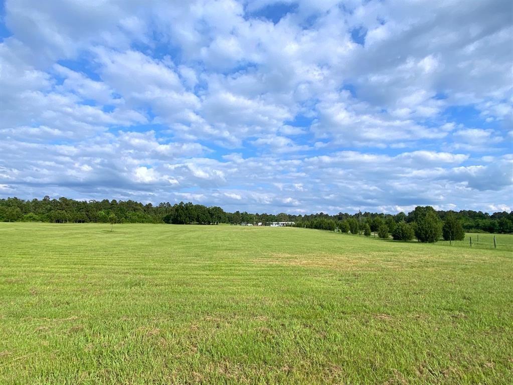 13090 1 Bethel Road, Montgomery, Texas 77356, ,Country Homes/acreage,For Sale,Bethel,35205373