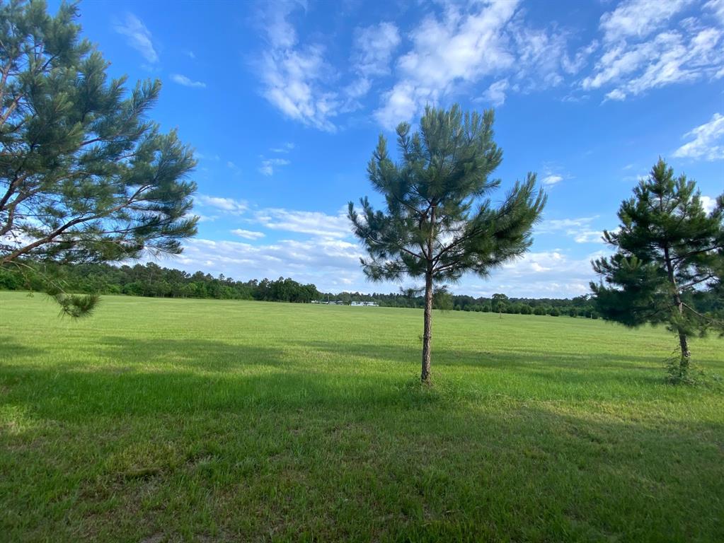 13090 1 Bethel Road, Montgomery, Texas 77356, ,Country Homes/acreage,For Sale,Bethel,35205373