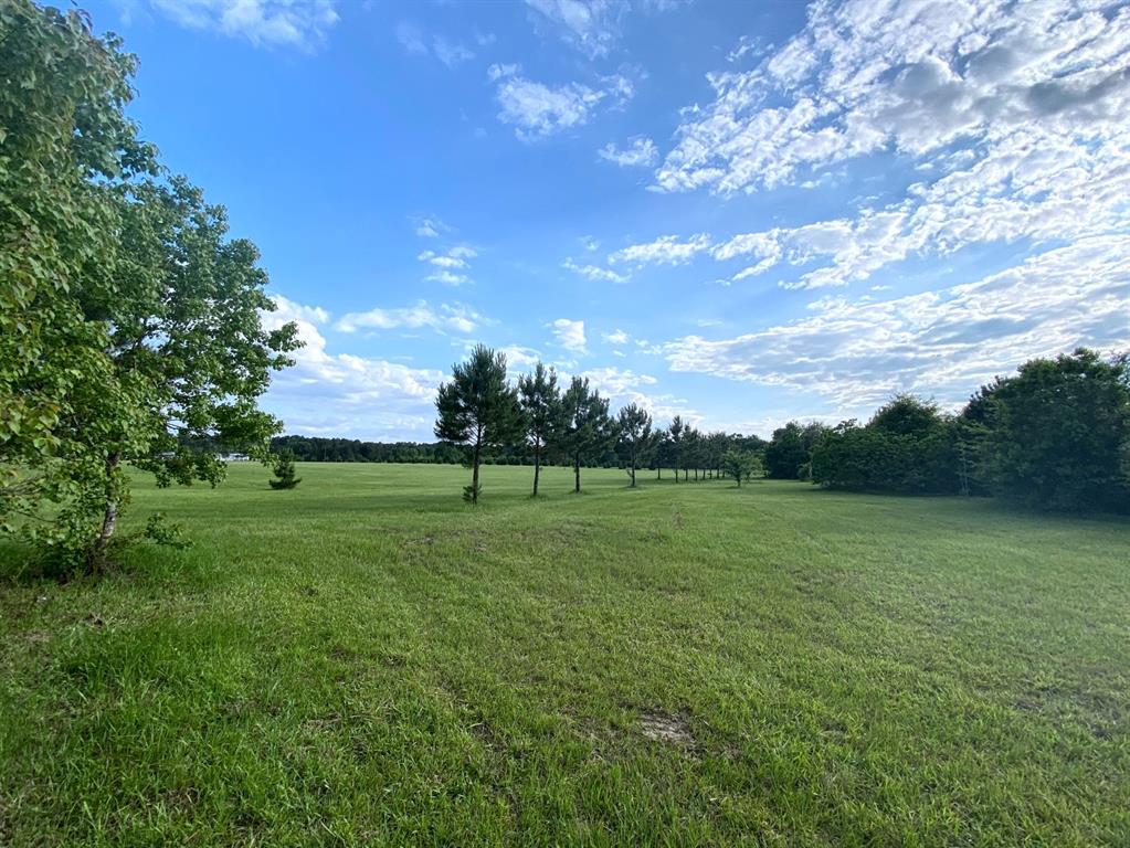 13090 1 Bethel Road, Montgomery, Texas 77356, ,Country Homes/acreage,For Sale,Bethel,35205373