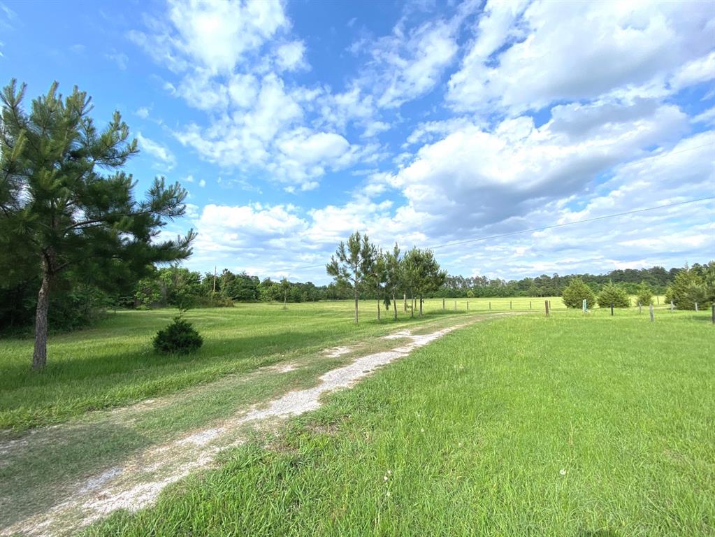 13090 1 Bethel Road, Montgomery, Texas 77356, ,Country Homes/acreage,For Sale,Bethel,35205373